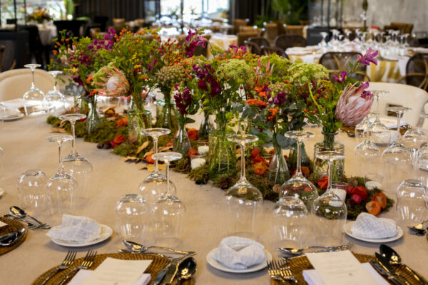 AIRES CATERING MONTAJE