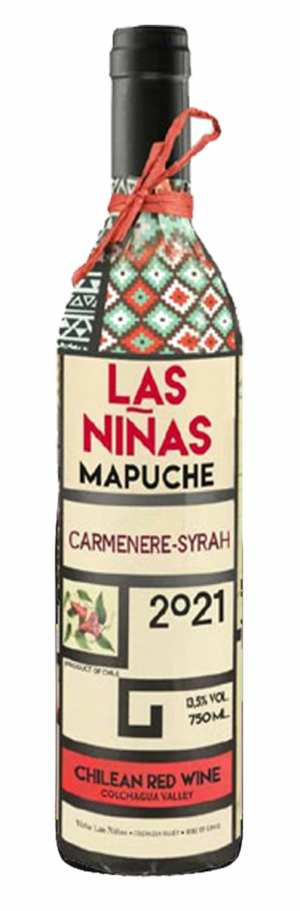 Las ninas mapuche